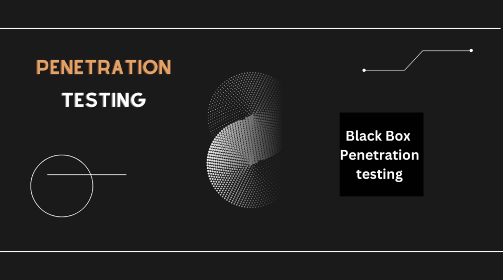 White Vs Black Vs Gray Box Penetration Testing NextdoorSEC