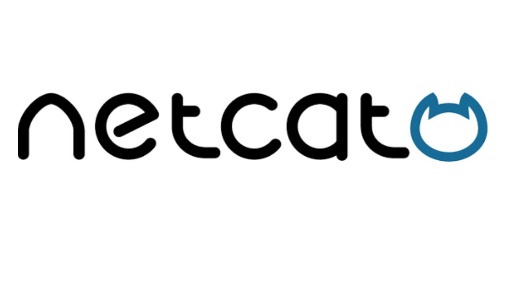 Netstat vs. nmap vs. netcat