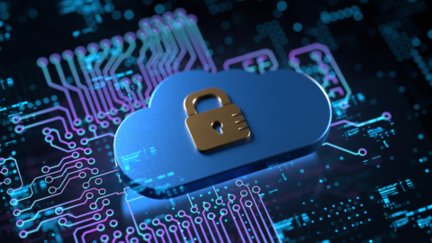 Hardware Encryption vs. Software Encryption: Safeguarding Data in the ...