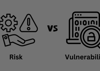 Balancing Risk Vs Vulnerability: A Framework for Success