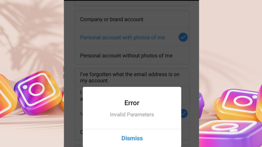invalid parameters instagram password reset