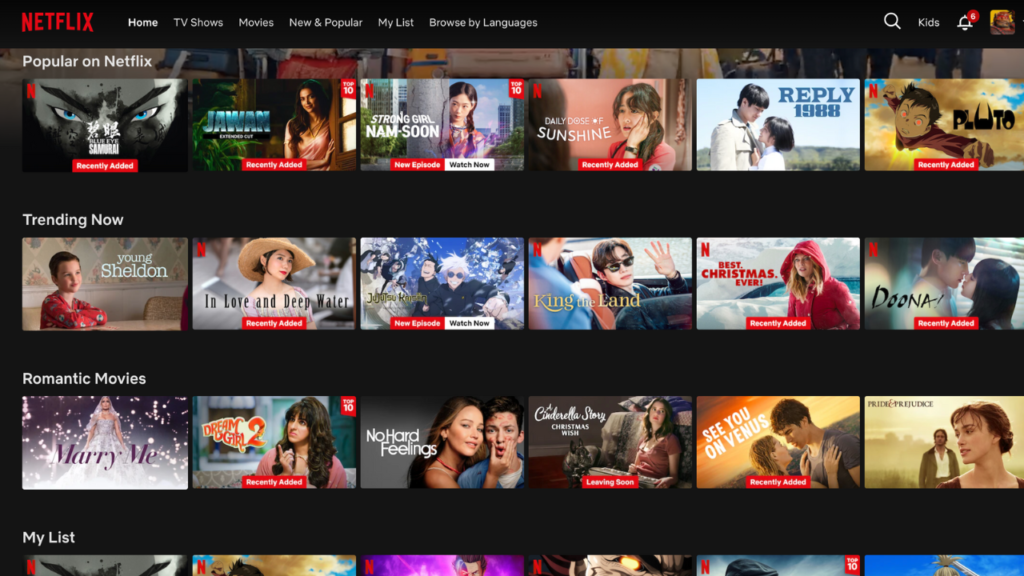 How to Get Around Netflix Password Sharing