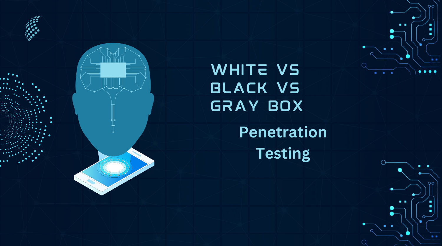 White vs Black vs Gray Box Testing NextdoorSEC